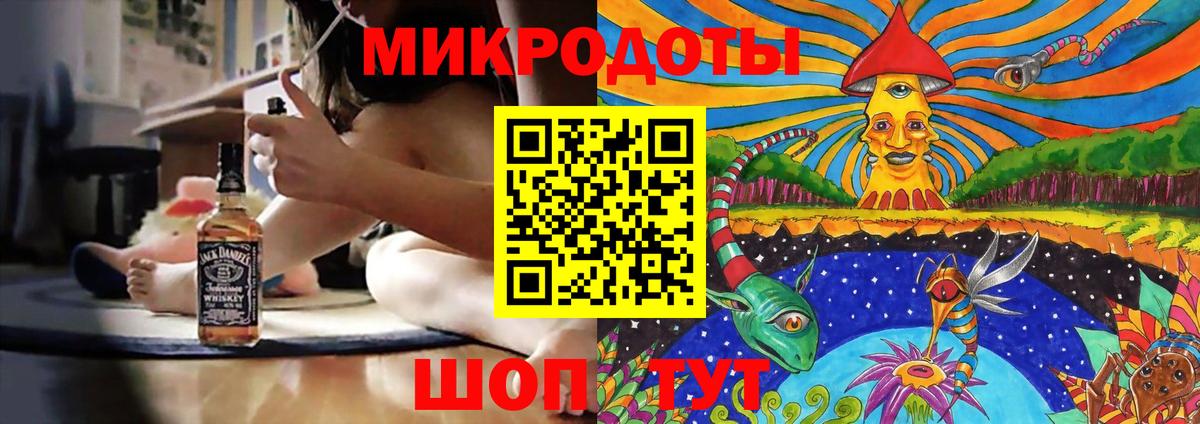 Братск  Галлюциногенные грибы Psilocybine cubensis  Вход с VPN 