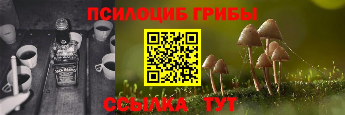 Галлюциногенные грибы прущие грибы Братск